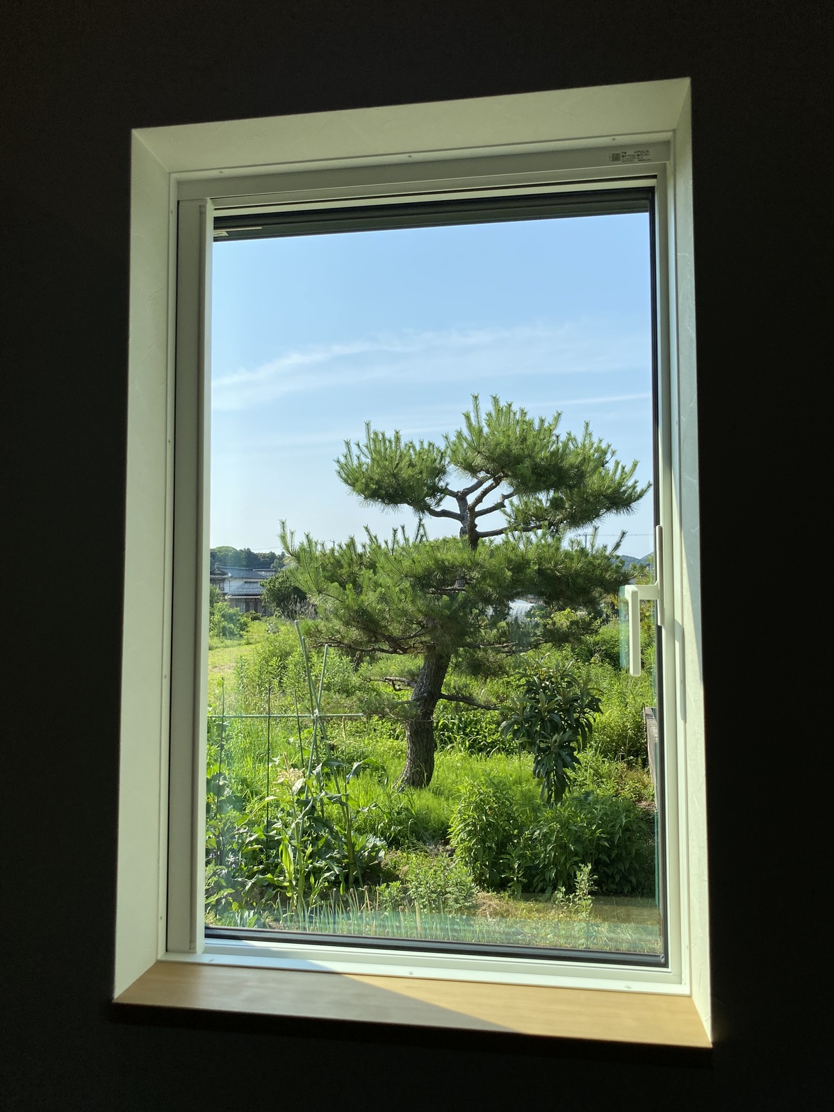 眺め