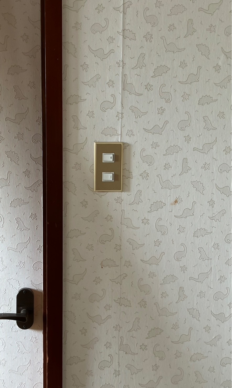 旧switch