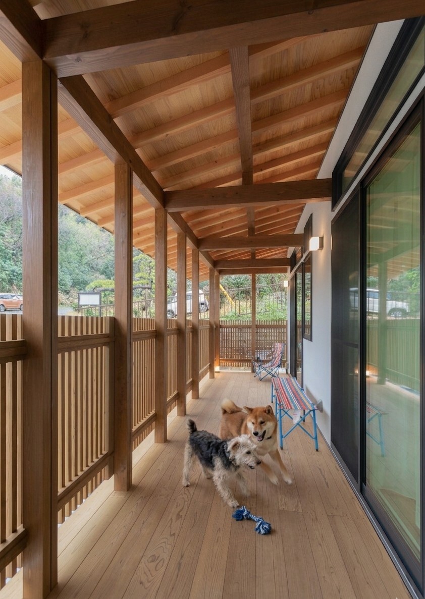 愛犬と私と平屋の快適な暮らし