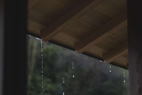 雨を愉しむ
