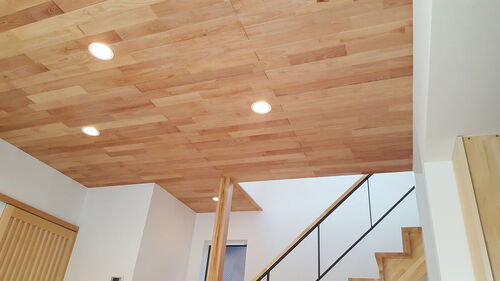 【照明】リビングの天井にはダウンライト。優しい灯りで家族を照らします。