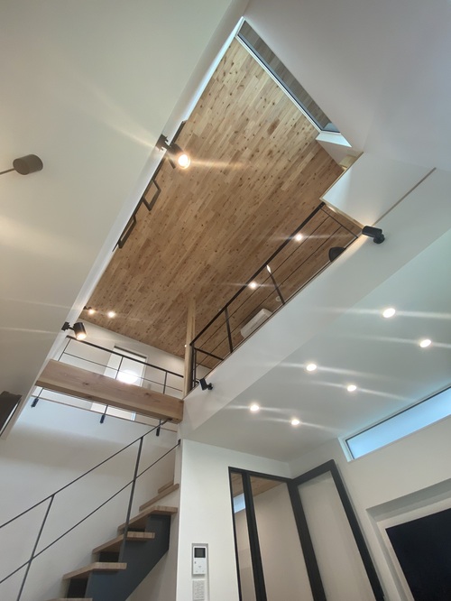 【ダウンライト】